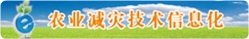 HyperLink