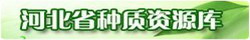 HyperLink