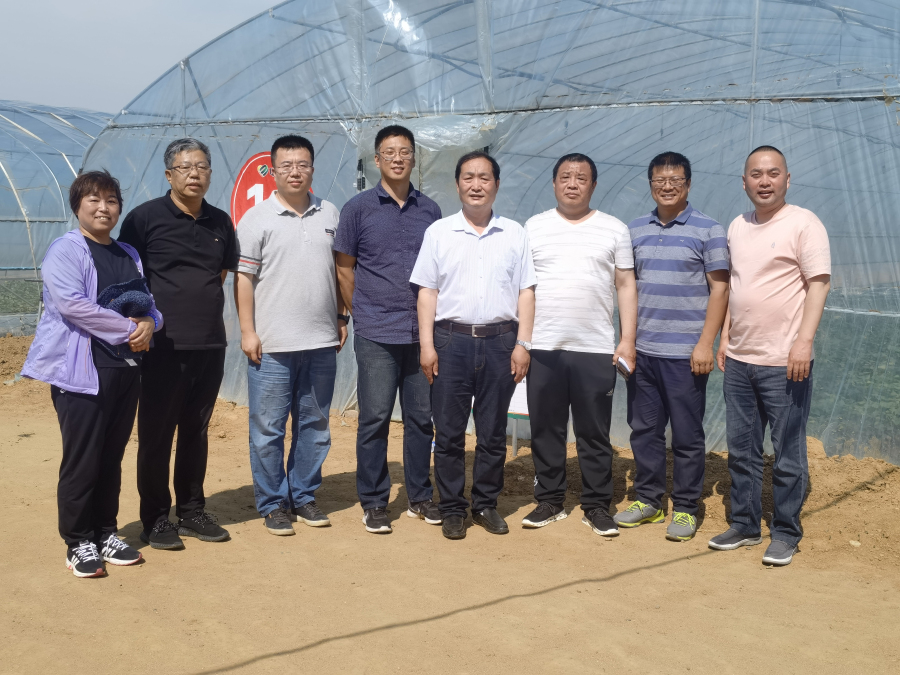 粮油所科技人员赴秦皇岛市卢龙县开展科技服务