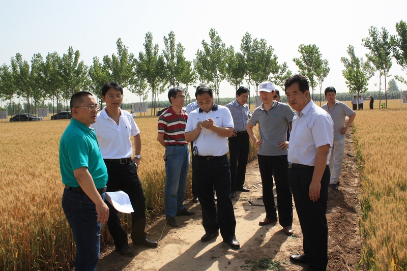 邢台市农开办和宁晋县农开办,农业局有关参加了本次考察.